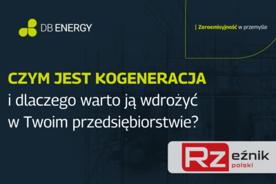 kogeneracja rzeznik