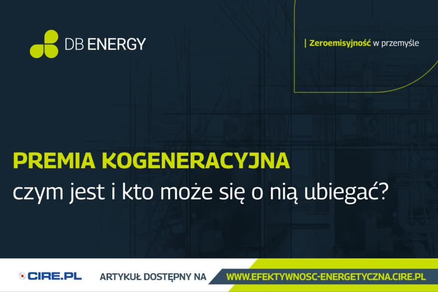 premia kogeneracyjna - publikacje